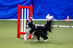 2023-June-AADTC-Trial-825