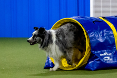 2023-June-AADTC-Trial-829