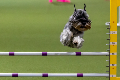 2023-June-AADTC-Trial-838