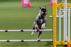 2023-June-AADTC-Trial-841