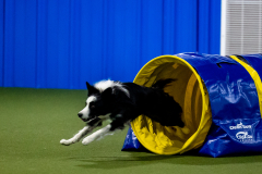 2023-June-AADTC-Trial-849