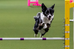 2023-June-AADTC-Trial-854