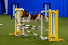 2023-June-AADTC-Trial-855