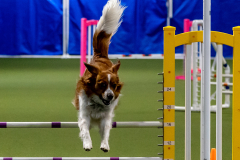 2023-June-AADTC-Trial-856