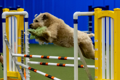 2023-June-AADTC-Trial-858