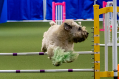 2023-June-AADTC-Trial-859