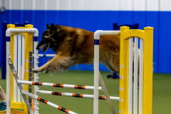 2023-June-AADTC-Trial-860