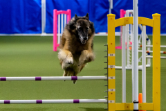 2023-June-AADTC-Trial-861