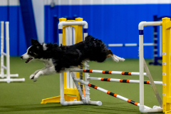 2023-June-AADTC-Trial-868