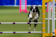 2023-June-AADTC-Trial-869