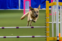 2023-June-AADTC-Trial-871