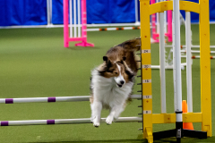 2023-June-AADTC-Trial-873