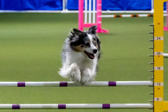 2023-June-AADTC-Trial-886