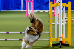 2023-June-AADTC-Trial-890