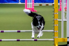 2023-June-AADTC-Trial-894