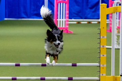 2023-June-AADTC-Trial-896