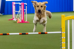 2023-June-AADTC-Trial-902