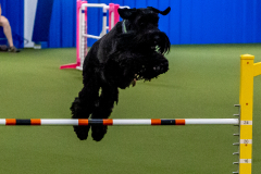 2023-June-AADTC-Trial-904