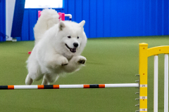 2023-June-AADTC-Trial-906