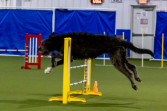 2023-June-AADTC-Trial-913