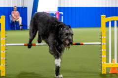 2023-June-AADTC-Trial-914