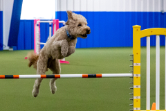 2023-June-AADTC-Trial-916