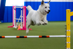 2023-June-AADTC-Trial-917