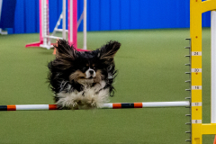 2023-June-AADTC-Trial-921