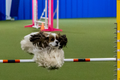 2023-June-AADTC-Trial-922