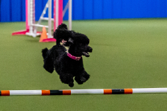 2023-June-AADTC-Trial-924