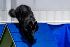 2023-June-AADTC-Trial-929