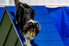 2023-June-AADTC-Trial-932