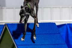 2023-June-AADTC-Trial-935