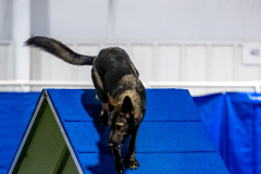 2023-June-AADTC-Trial-938