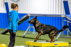 2023-June-AADTC-Trial-939