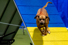 2023-June-AADTC-Trial-943