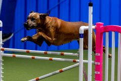 2023-June-AADTC-Trial-945