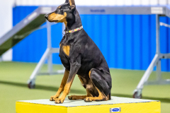 2023-June-AADTC-Trial-947