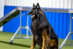 2023-June-AADTC-Trial-953