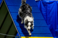 2023-June-AADTC-Trial-955