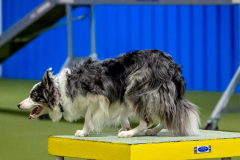 2023-June-AADTC-Trial-956