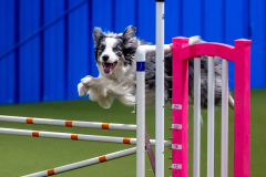 2023-June-AADTC-Trial-957