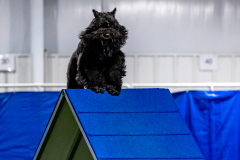 2023-June-AADTC-Trial-958