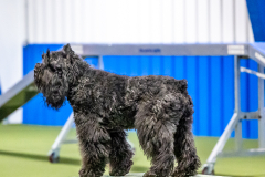 2023-June-AADTC-Trial-961