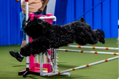 2023-June-AADTC-Trial-963