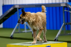 2023-June-AADTC-Trial-965