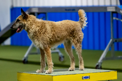 2023-June-AADTC-Trial-966