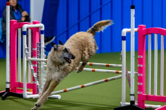 2023-June-AADTC-Trial-968