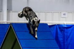 2023-June-AADTC-Trial-971