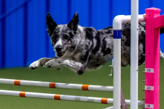 2023-June-AADTC-Trial-973